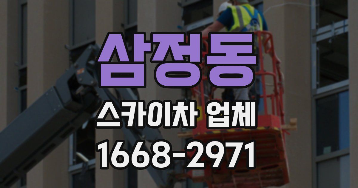 삼정동 스카이차 업체