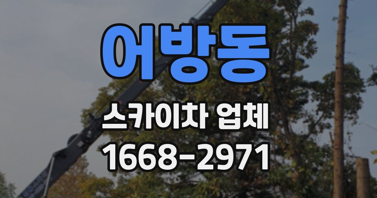 어방동 스카이차 업체