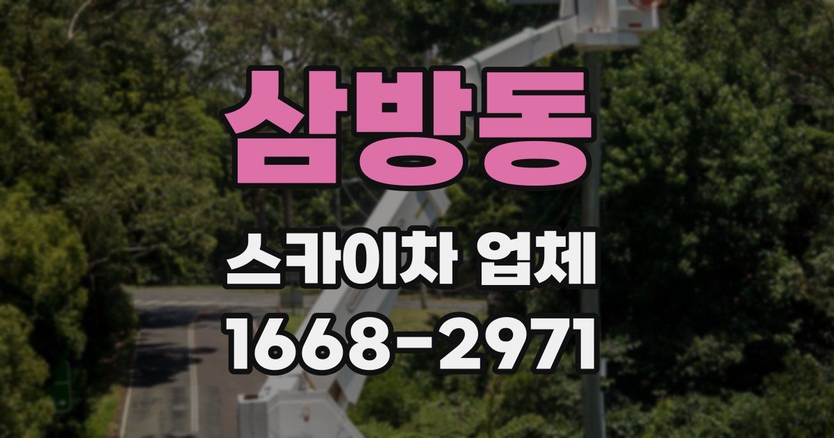 삼방동 스카이차 업체