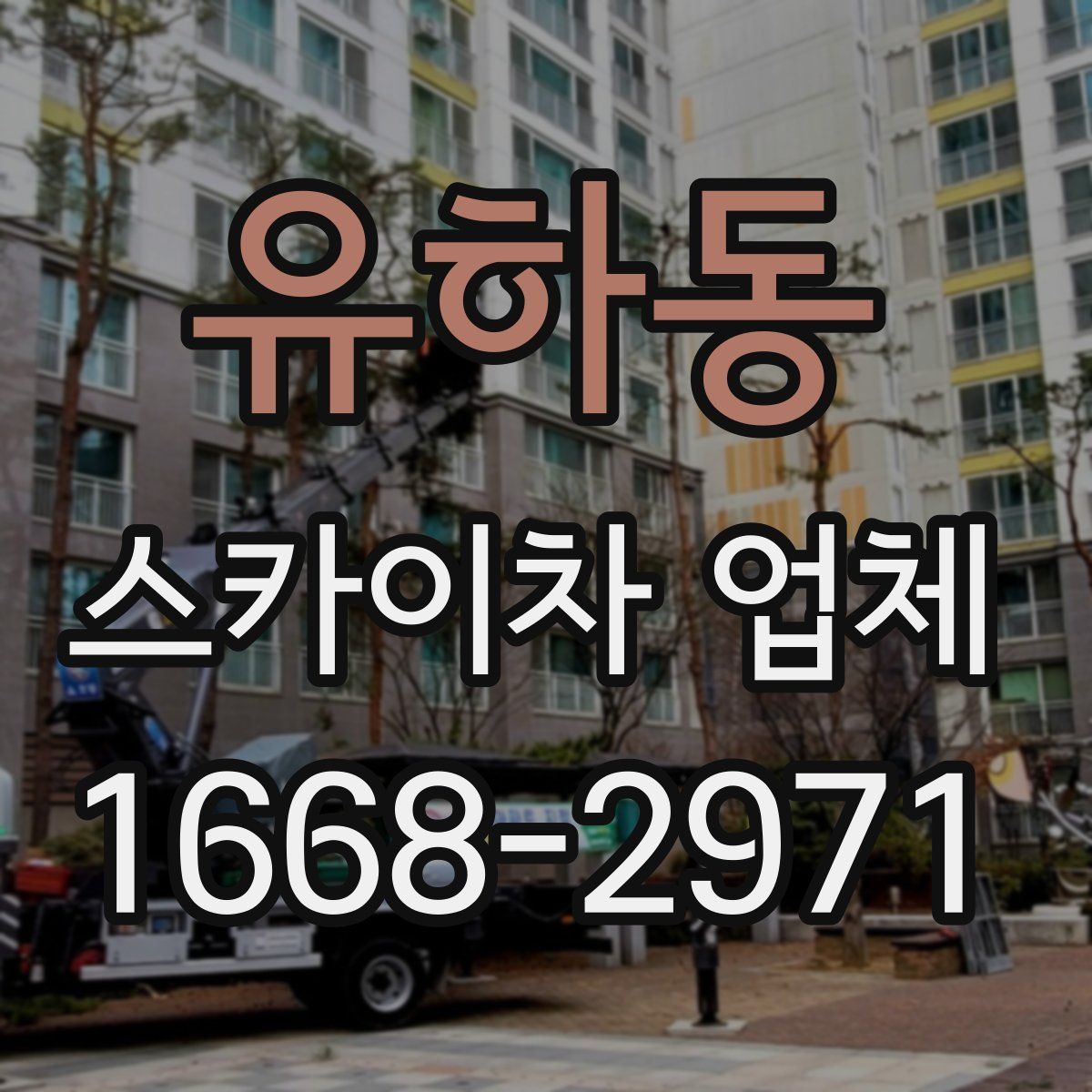 유하동 스카이차 업체