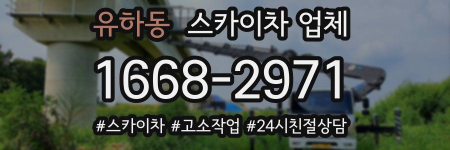 유하동 스카이차 업체