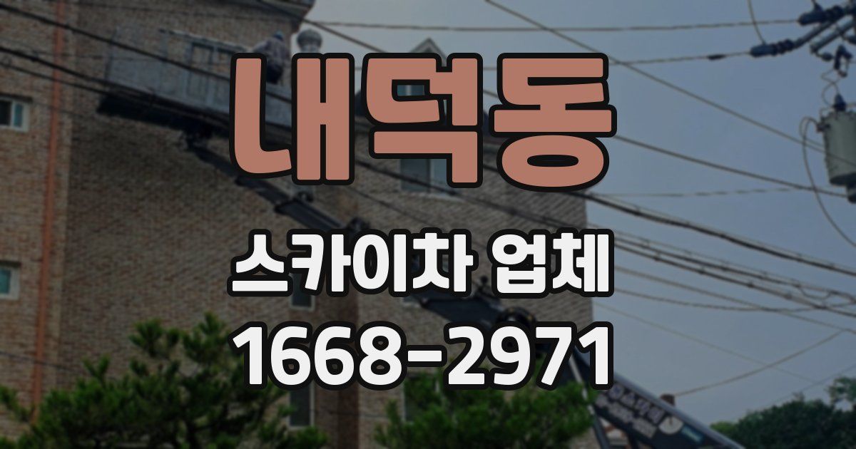 내덕동 스카이차 업체