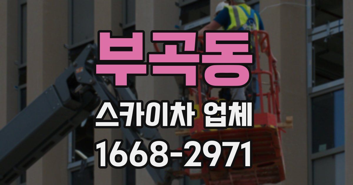 부곡동 스카이차 업체