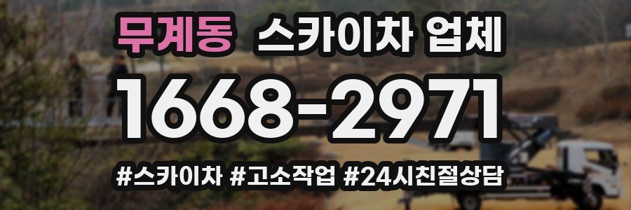 무계동 스카이차 업체