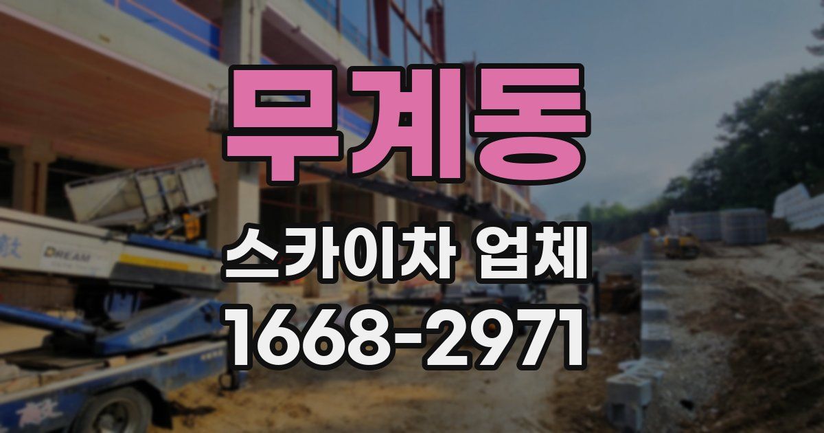 무계동 스카이차 업체
