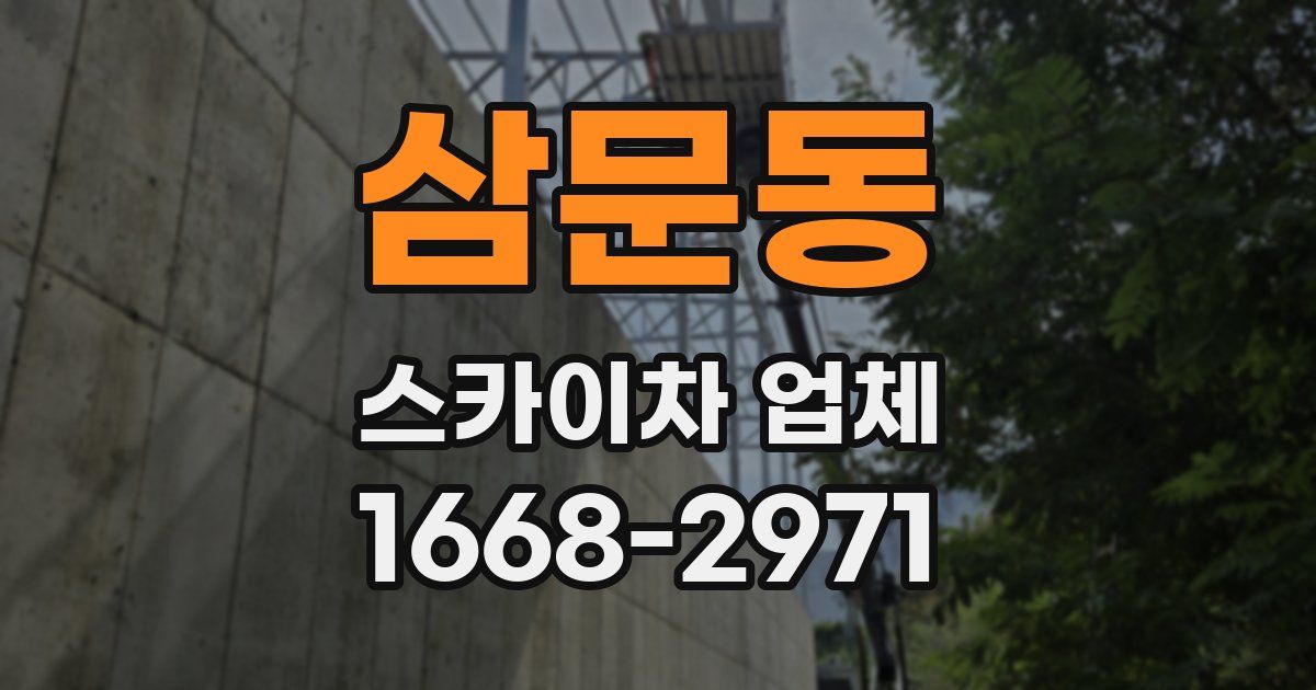 삼문동 스카이차 업체