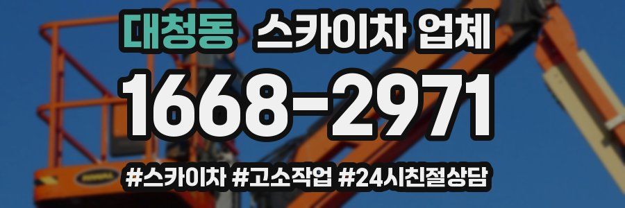 대청동 스카이차 업체