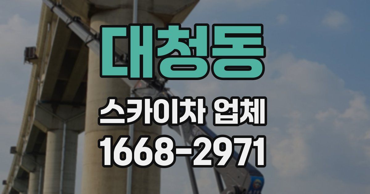 대청동 스카이차 업체