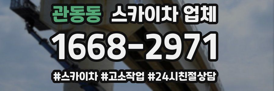 관동동 스카이차 업체