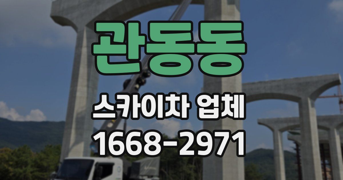 관동동 스카이차 업체