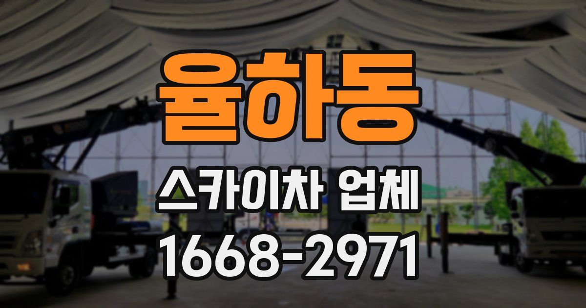 율하동 스카이차 업체