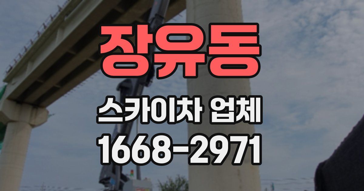 장유동 스카이차 업체