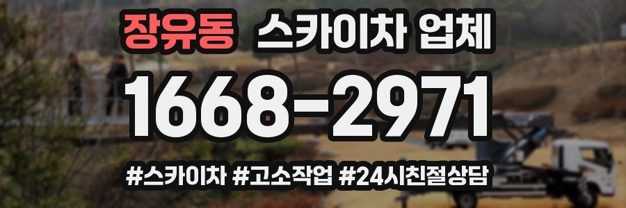 장유동 스카이차 업체