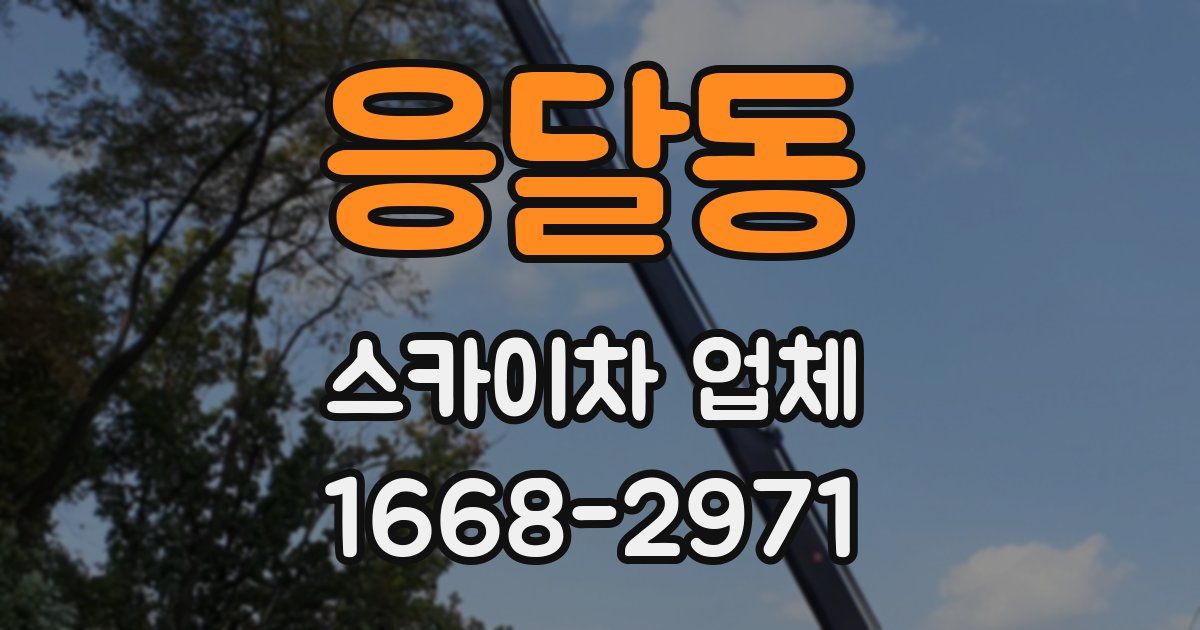 응달동 스카이차 업체