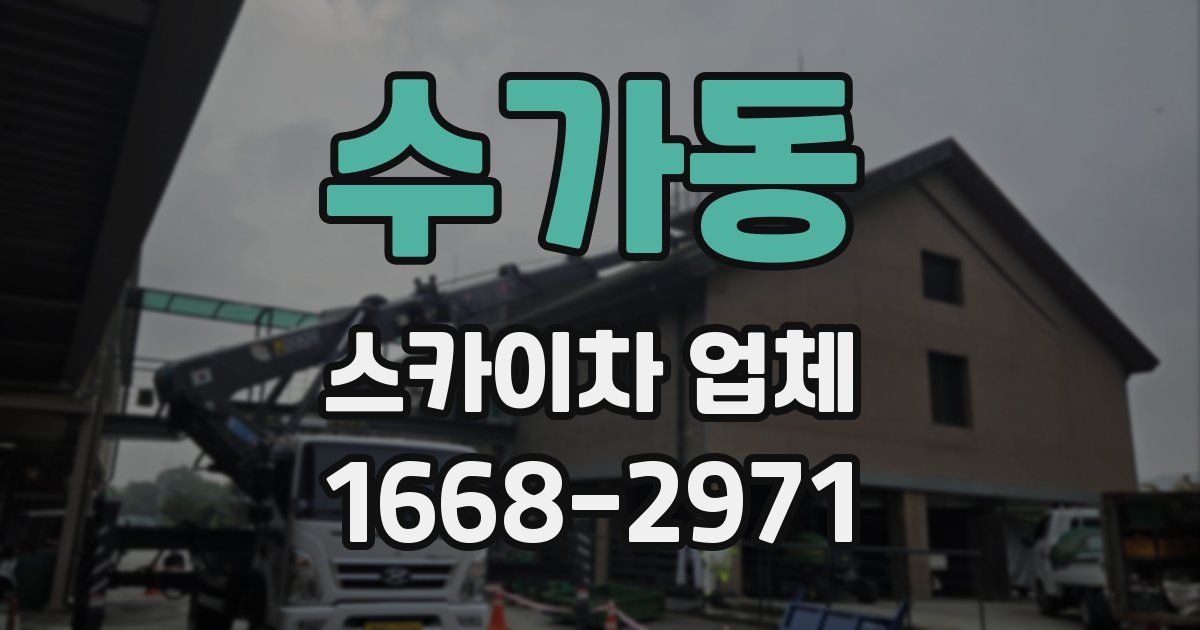 수가동 스카이차 업체