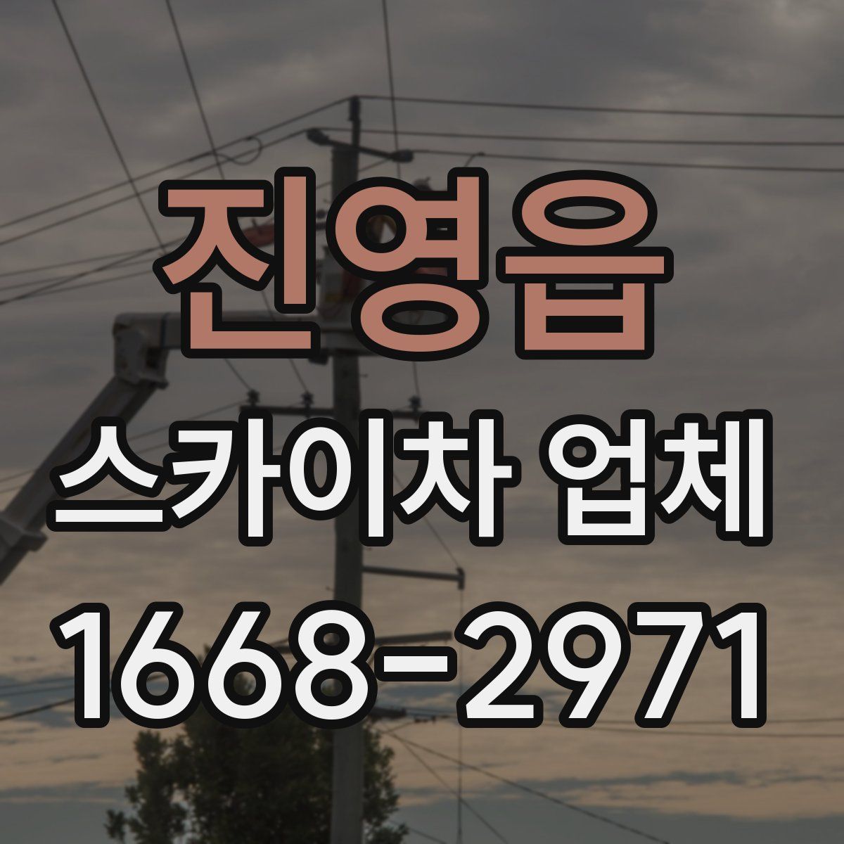 진영읍 스카이차 업체