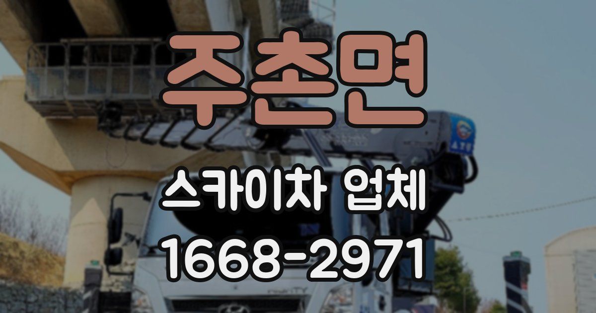 주촌면 스카이차 업체