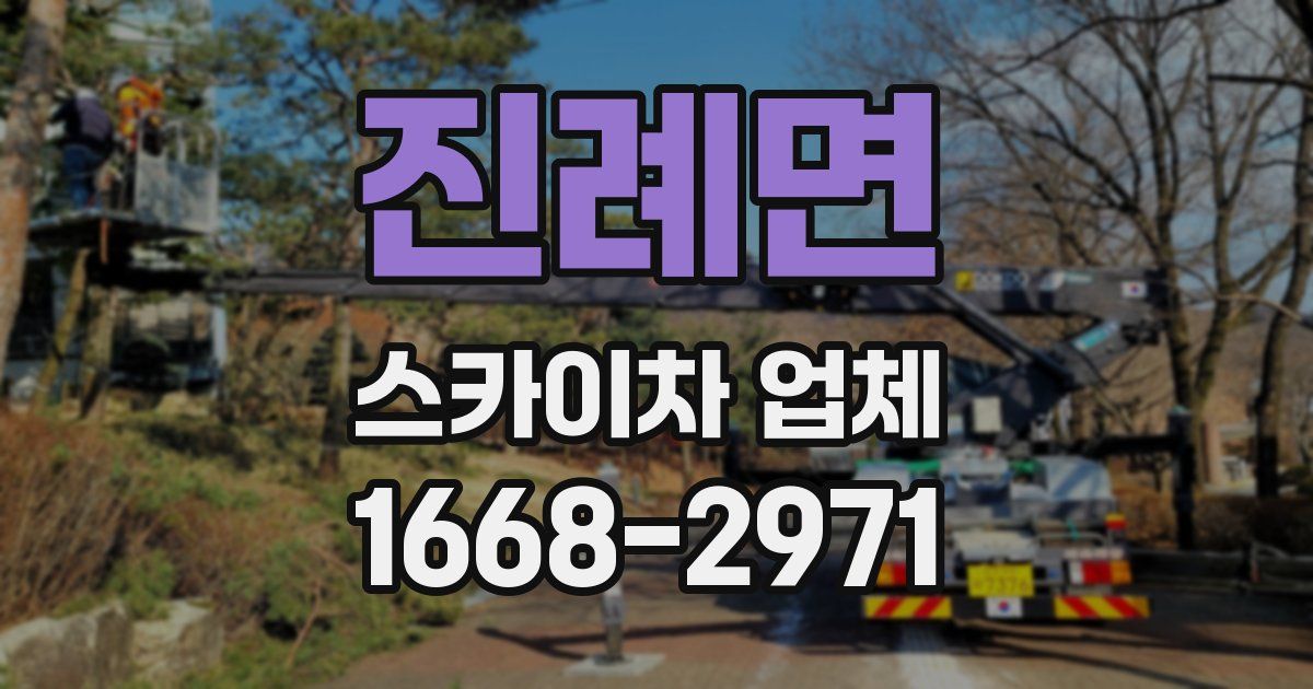 진례면 스카이차 업체