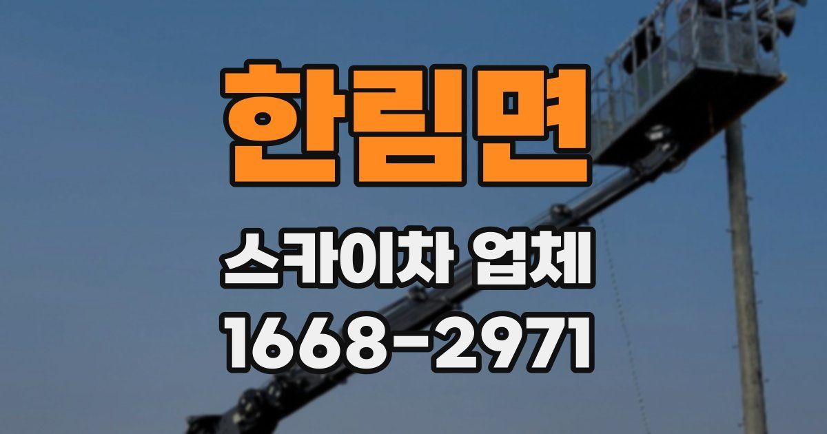 한림면 스카이차 업체
