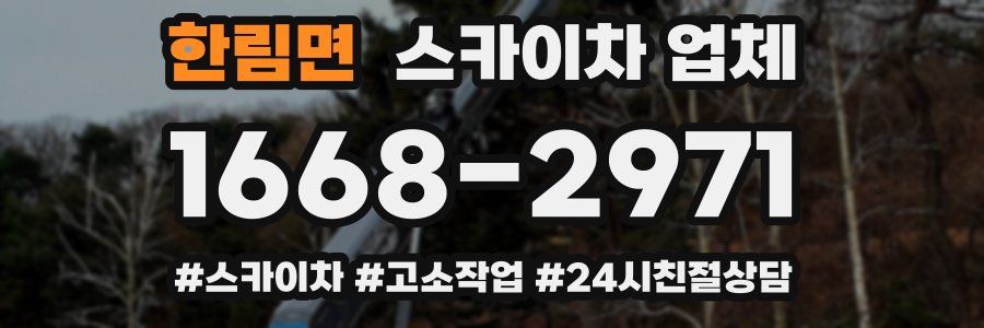한림면 스카이차 업체