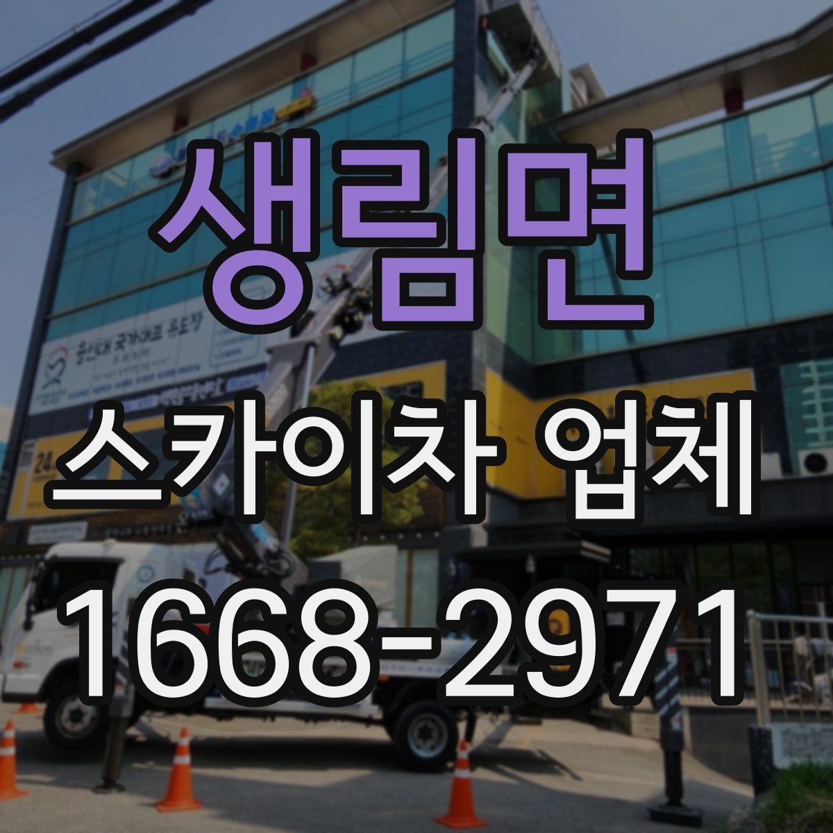 생림면 스카이차 업체