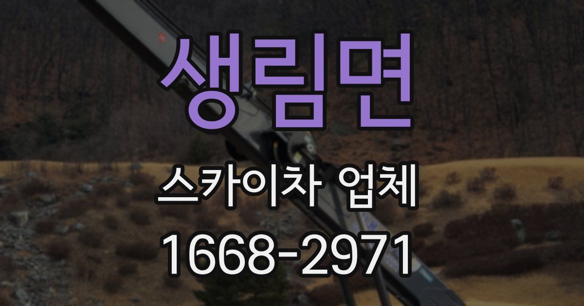 생림면 스카이차 업체