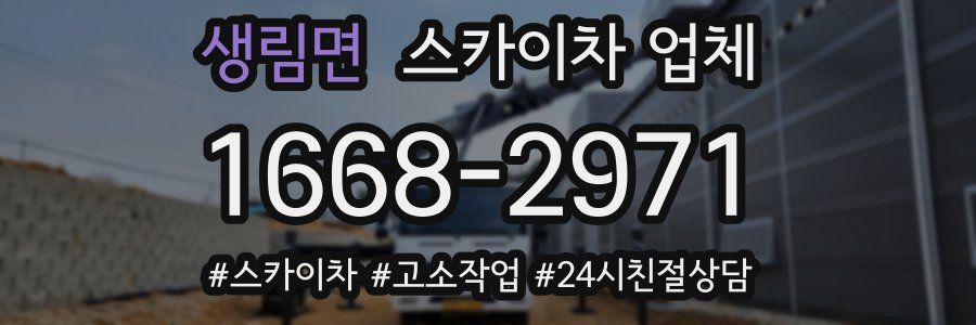 생림면 스카이차 업체