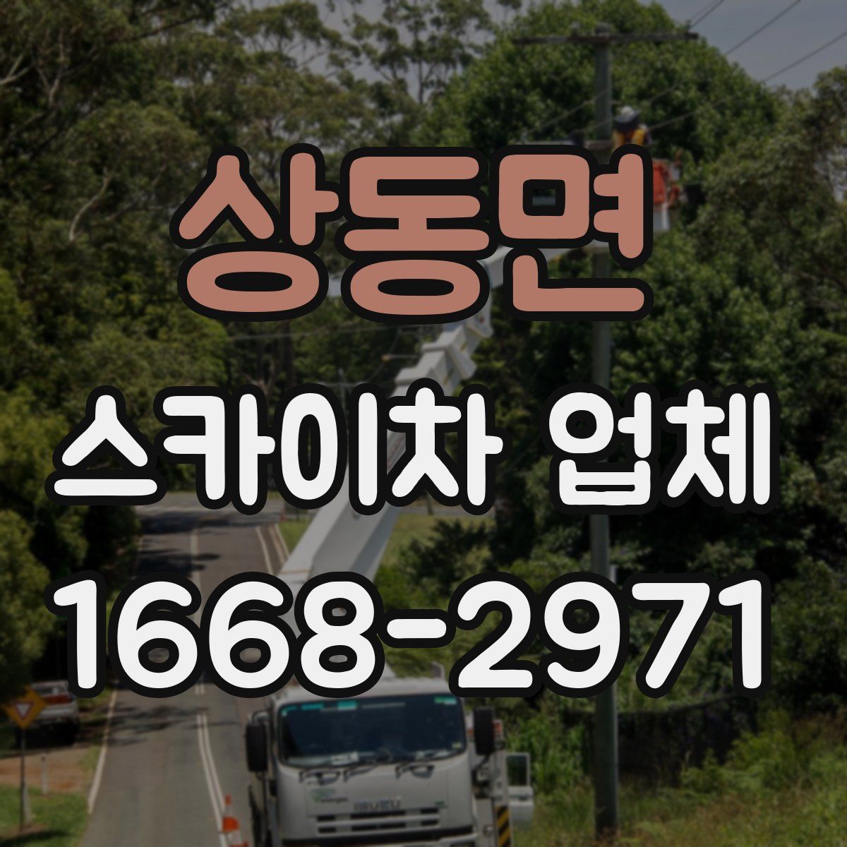 상동면 스카이차 업체