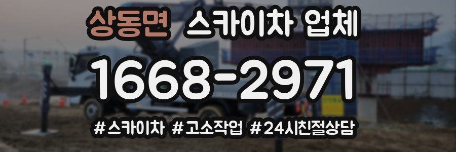 상동면 스카이차 업체