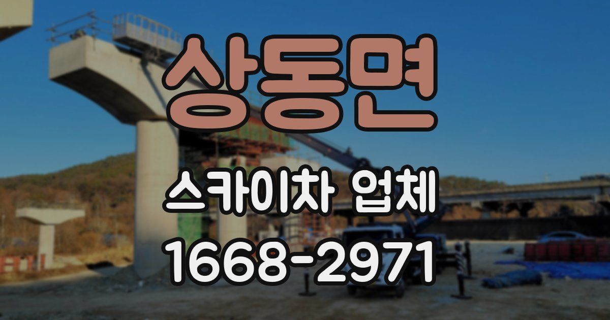 상동면 스카이차 업체