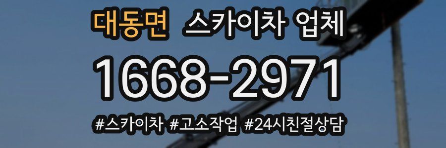 대동면 스카이차 업체