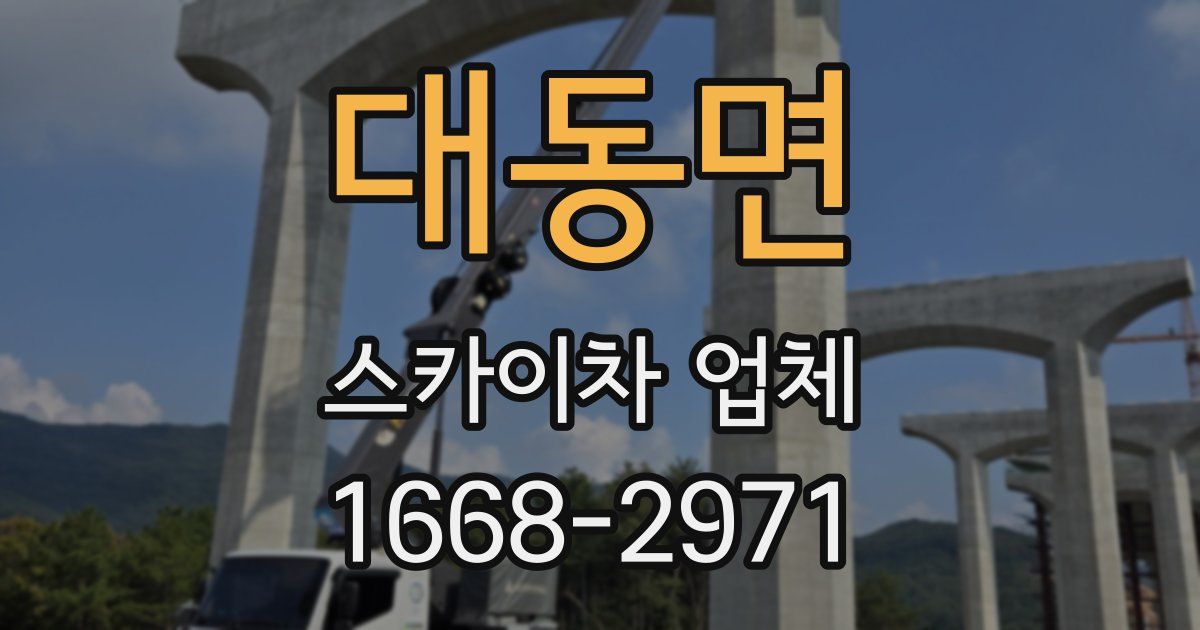 대동면 스카이차 업체