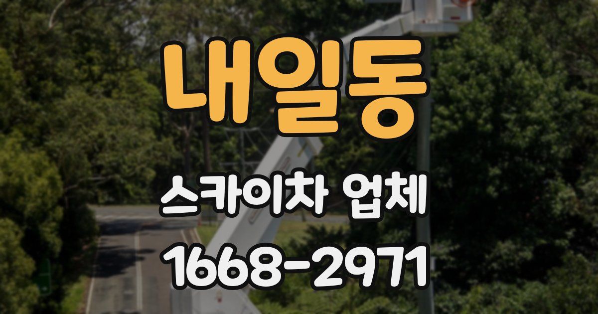 내일동 스카이차 업체