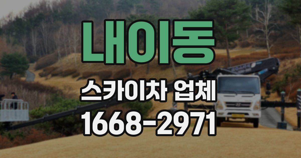 내이동 스카이차 업체