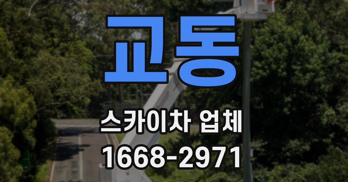 교동 스카이차 업체