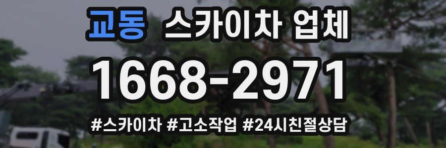 교동 스카이차 업체