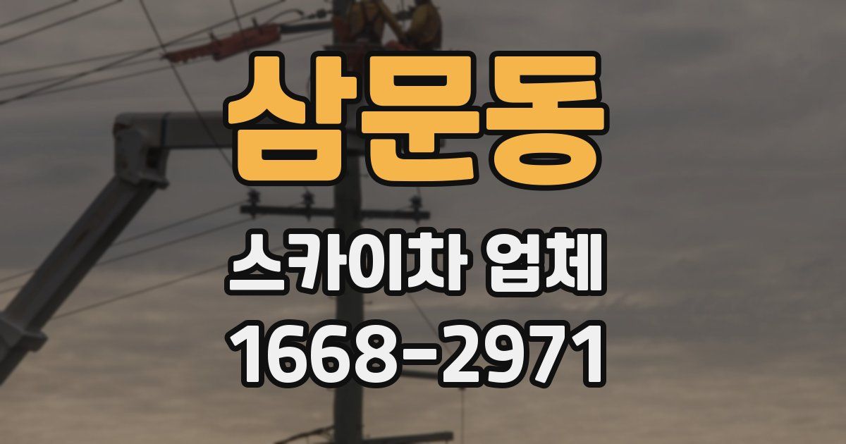 삼문동 스카이차 업체