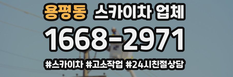 용평동 스카이차 업체