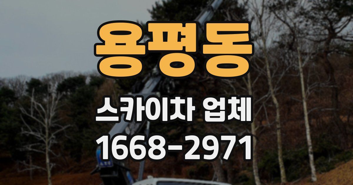 용평동 스카이차 업체