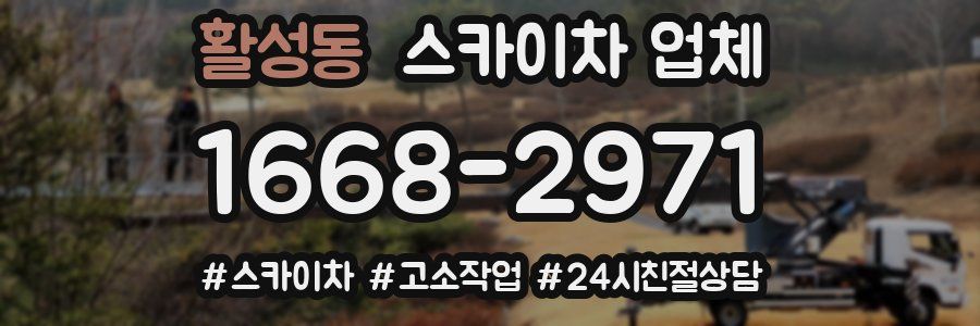 활성동 스카이차 업체