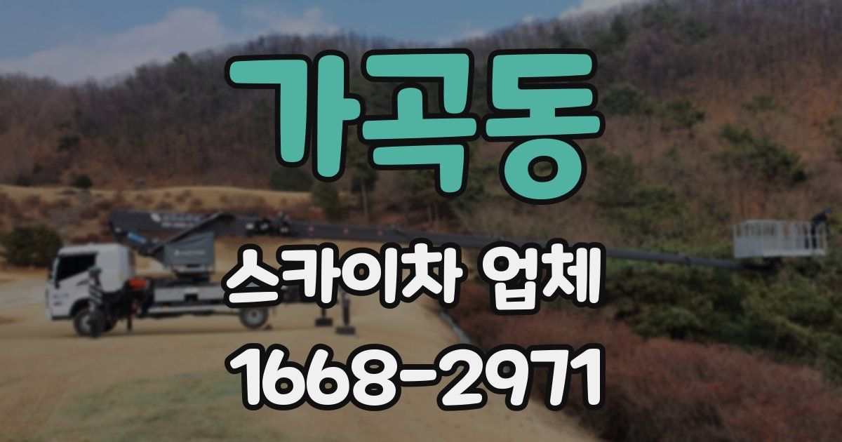 가곡동 스카이차 업체