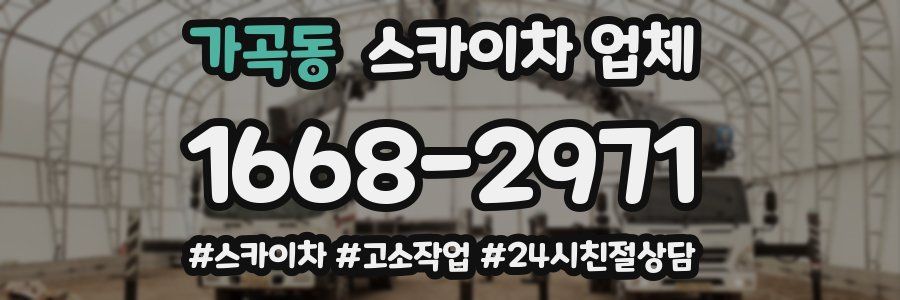 가곡동 스카이차 업체