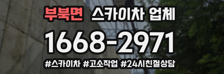 부북면 스카이차 업체