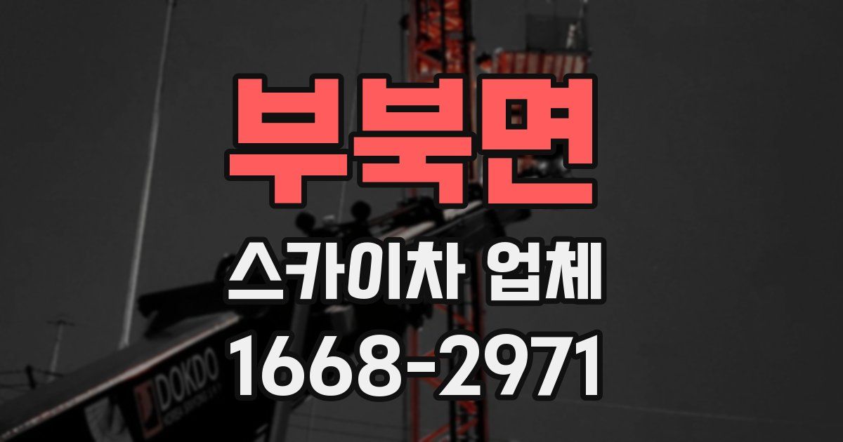 부북면 스카이차 업체