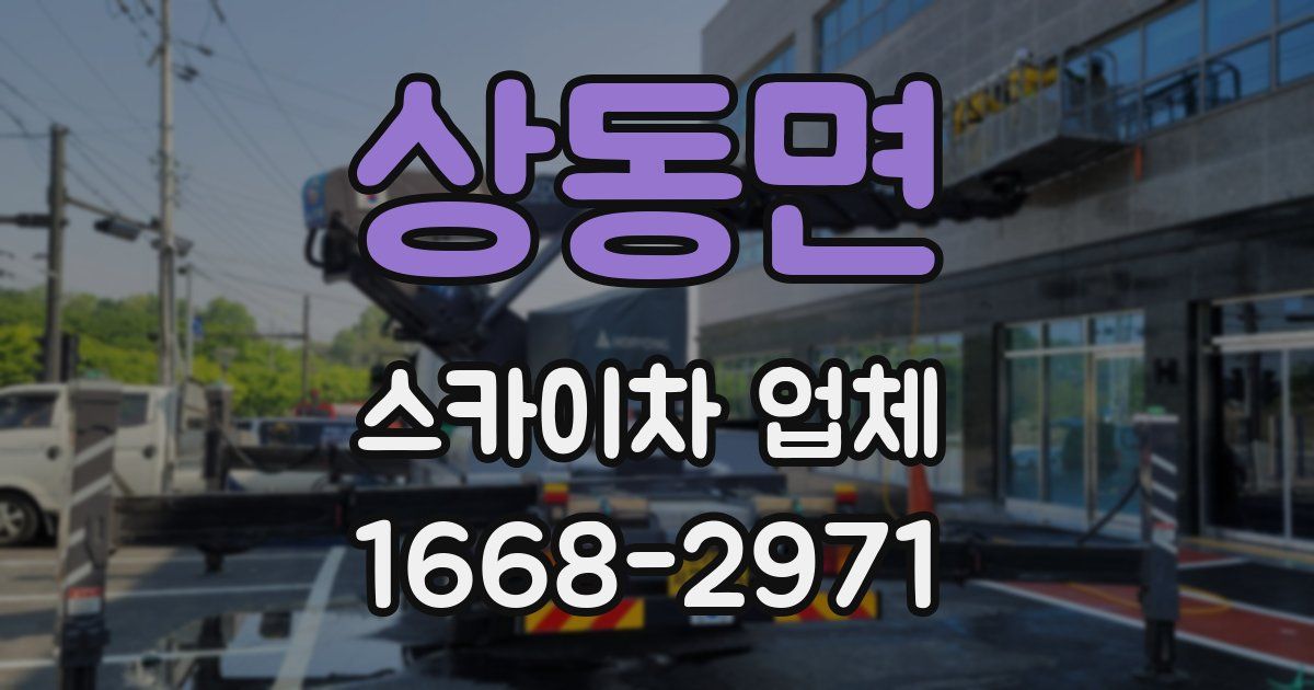 상동면 스카이차 업체