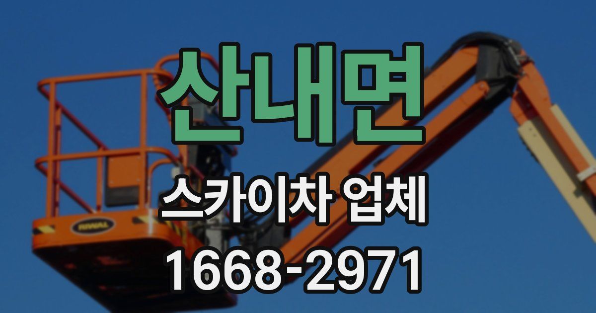 산내면 스카이차 업체