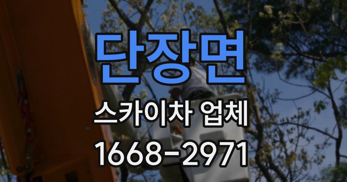단장면 스카이차 업체