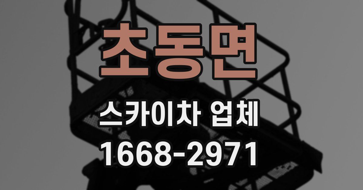 초동면 스카이차 업체