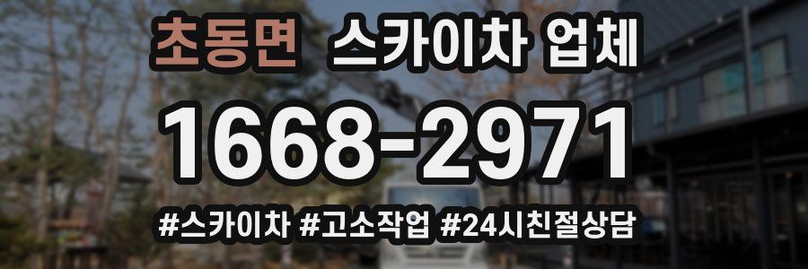 초동면 스카이차 업체