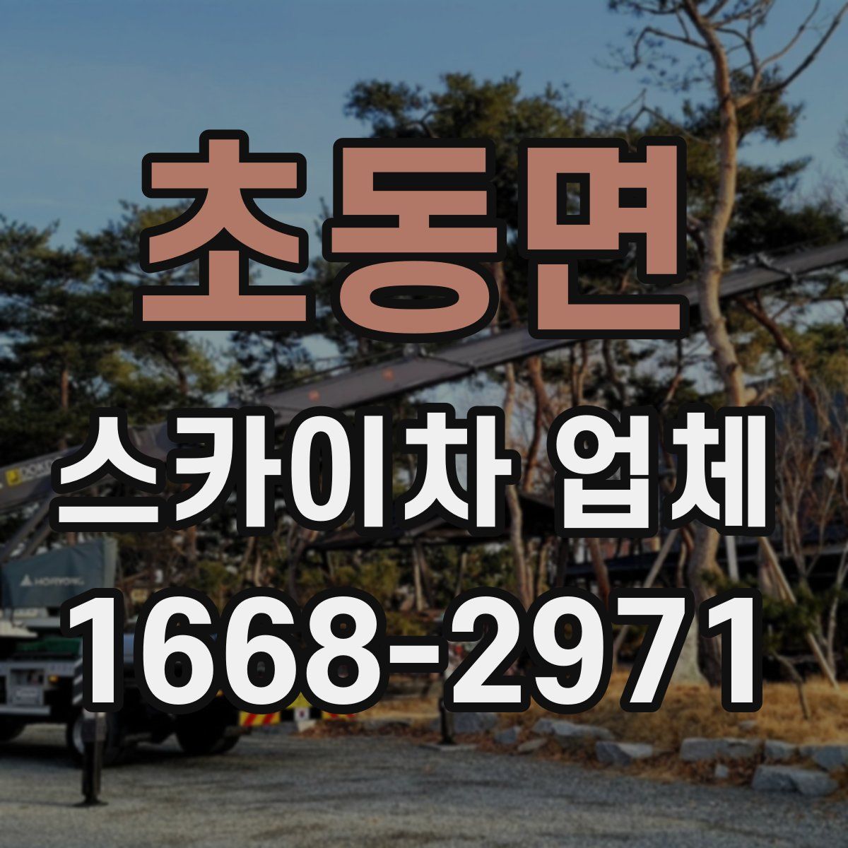 초동면 스카이차 업체